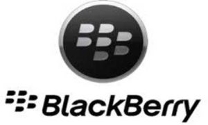 Blackberry Contact Number India