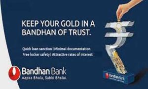 Bandhan Bank Agricultyre Loans